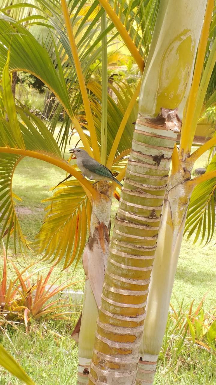 Hotel Pousada Vida Mar Barra Grande  Zewnętrze zdjęcie